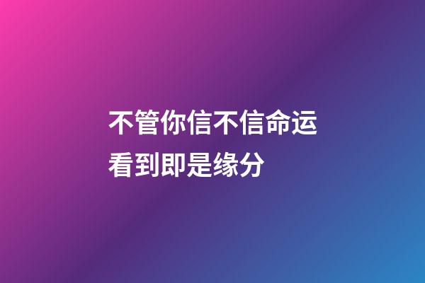 不管你信不信命运看到即是缘分 (你相信命运和缘分吗)-第1张-观点-玄机派